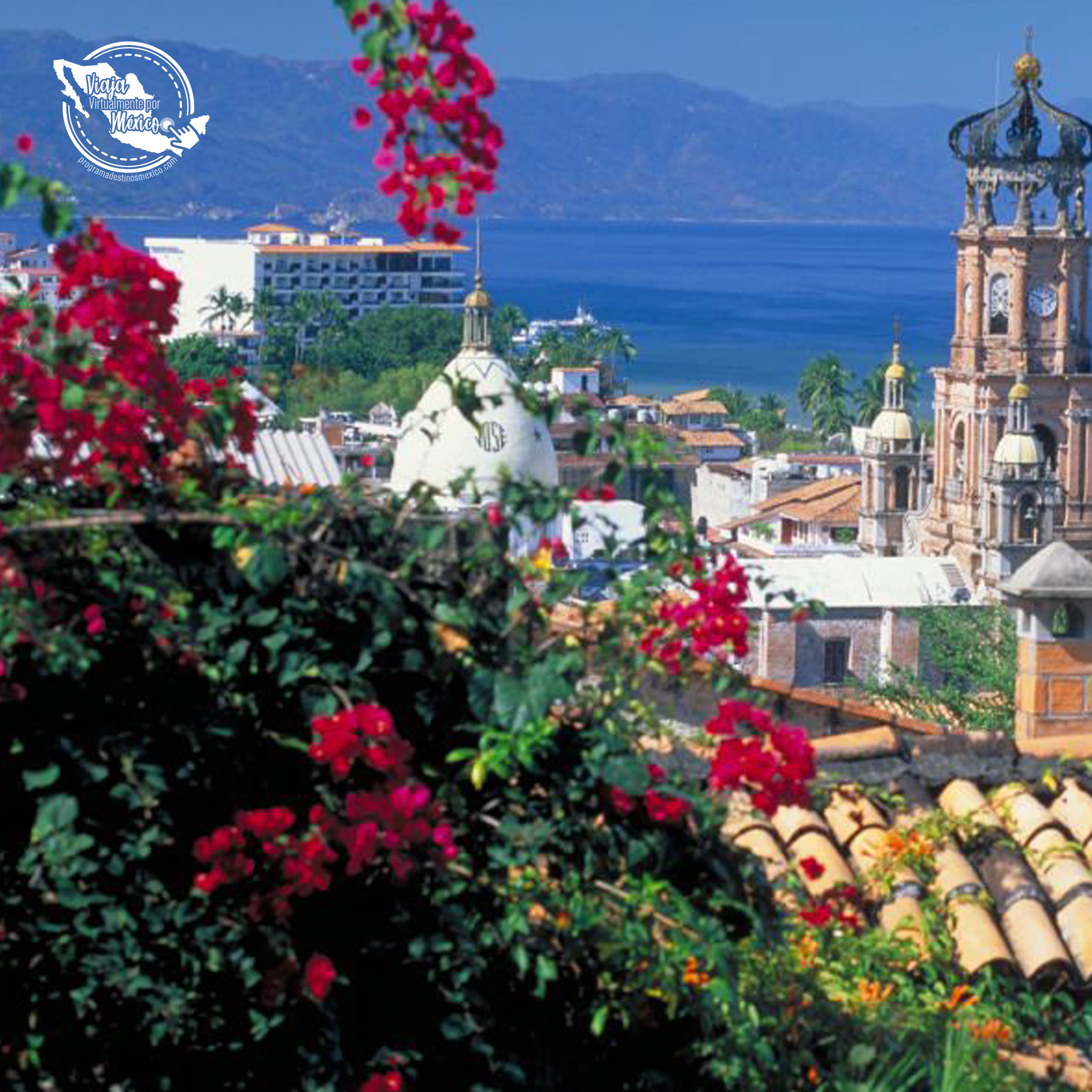 Video de Puerto Vallarta